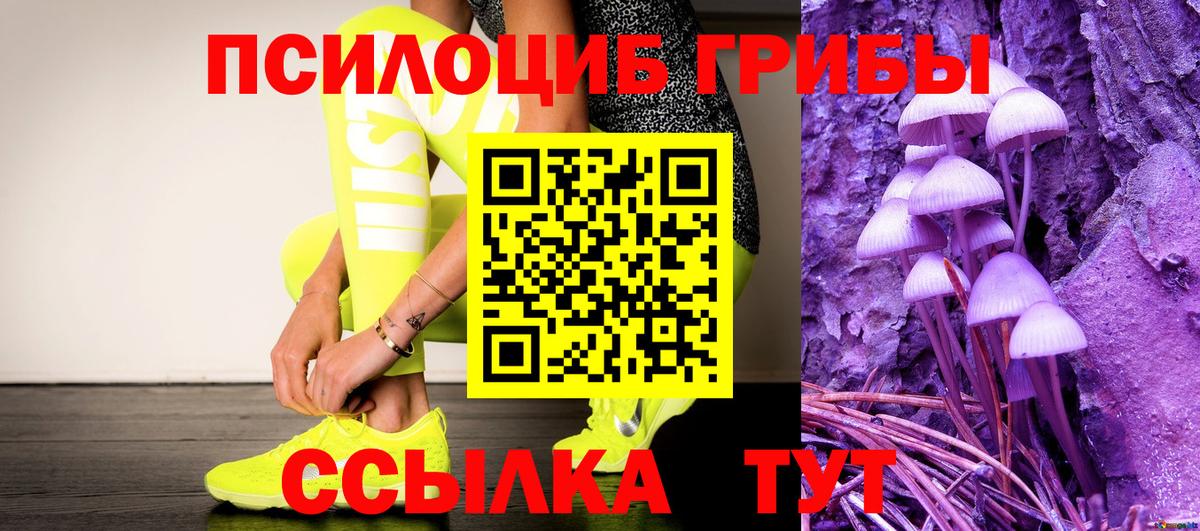 Псилоцибиновые грибы Psilocybe  Вход с VPN  Свободный 